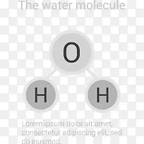 水分子信息图表素材图片