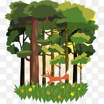 树林里的狐狸