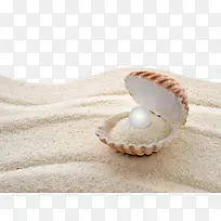 沙滩贝壳珍珠