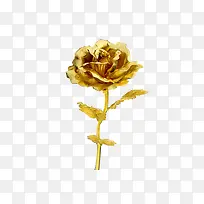 竖直的金箔玫瑰PNG