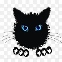 黑色小猫咪的表情