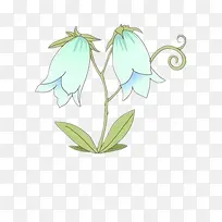 枯萎的牵牛花素材图片