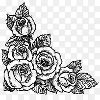 五朵玫瑰花素描画