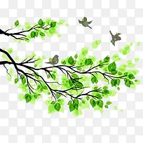 树枝绿叶小鸟春季素材