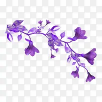 紫色喇叭花