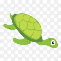 绿色的海龟