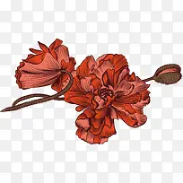 花纹红色