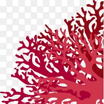 唯美红色珊瑚