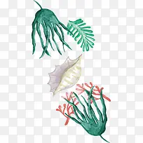 绿色水草海螺花纹