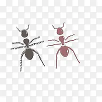 免抠素材蚂蚁图片