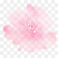 浅粉色花朵唯美