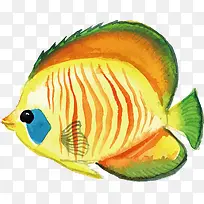 彩色金鱼矢量图