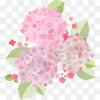清新唯美浅粉色绣球花