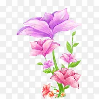 绘画紫色花卉画报