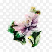 水彩晕染花卉