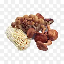 白色金针菇和香菇食材