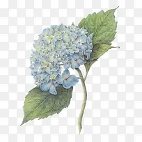 蓝色法式婚礼花卉