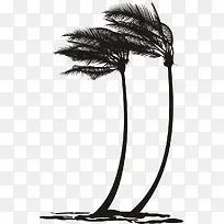 黑色被吹弯的椰树