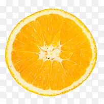 橙子剖面图