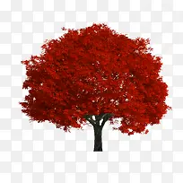 红色树木素材背景