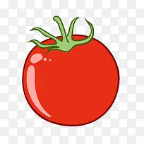 矢量手绘红色西红柿