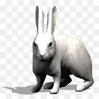 卡通3D兔子