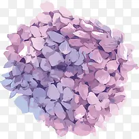 矢量紫色温馨绣球花