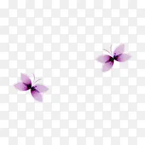 紫色梦幻抽象蝴蝶