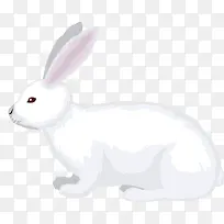 手绘卡通白色玉兔