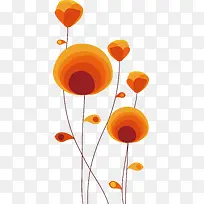 橙色花卉