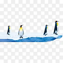 冰面上的企鹅