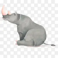 灰色的犀牛