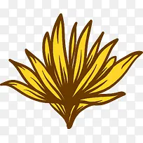 枯萎的黄花