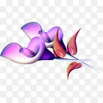 紫色唯美卡通马蹄莲花朵