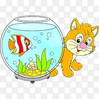 鱼缸旁边的小黄猫