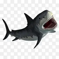攻击状态中的鲨鱼