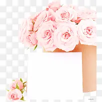 浪漫粉色雪山玫瑰