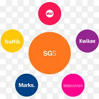 彩色圆形安全认证品牌图标SGS