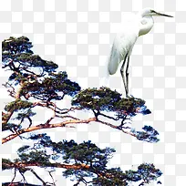 松树白鹤