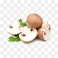 白色新鲜香菇食材