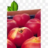 红色水果苹果李子