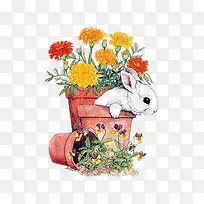 花盆和兔子