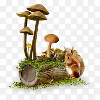 蘑菇和小松鼠