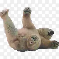 熊 跌倒熊