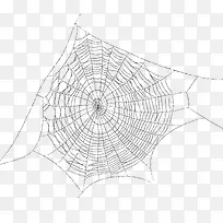 蜘蛛网卡通蜘蛛网图案 