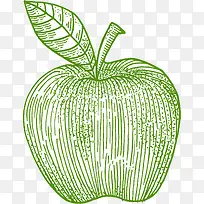 矢量绿色线条苹果