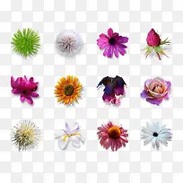 鲜花图标