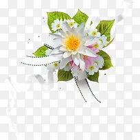 创意花卉图片植物花卉素材