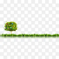 草地上树立的一棵树