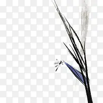 矢量手绘草